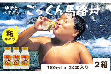【ごっくん馬路村（180ml×24本入×2箱）】ジュース ゆずジュース フルーツジュース  柚子ジュース 柚子 ユズ ゆず ドリンク 有機 オーガニック 無添加 清涼飲料水 お歳暮 お中元 母の日 父の日 敬老の日 子どもの日 のし 熨斗対応 贈答用 ギフト 果汁 はちみつ 果物 柑橘  高知県馬路村[451]