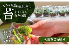 小さな自然に癒される【苔テラリウム作り体験】利用券
