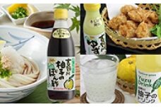 吉野川ゆずセット