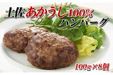 土佐あかうし　ハンバーグ