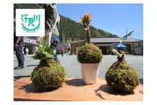 汗見川ふれあいの郷清流館「苔玉づくり体験」利用券