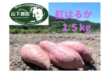 自然のままに。山下農園の超自然農法で育ったさつまいも（紅はるか）15kg