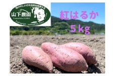 自然のままに。山下農園の超自然農法で育ったさつまいも（紅はるか）5kg