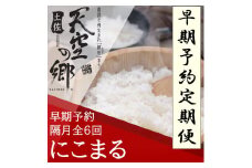 【新米定期便】令和7年産土佐天空の郷 にこまる 4kg 隔月お届け 全6回 2010年・2016年 お米日本一コンテスト inしずおか 特別最高金賞受賞の棚田米