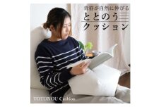 ととのうクッション・小　姿勢を整えリラックスタイムにピッタリ(人にも環境にもやさしいエシカル製品)【1321345】