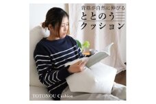 ととのうクッション・小　姿勢を整えリラックスタイムにピッタリ(人にも環境にもやさしいエシカル製品)【1321345】