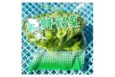 ＜栽培期間中農薬不使用＞四国のど真ん中で栽培された生鮮リーフレタス　約100g×8袋セット【1493186】