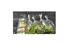 ＜栽培期間中農薬不使用＞スプラウトにんにく5個×3袋・べビーリーフ約40g×4袋のセット　【1537250】
