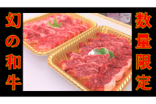 ttn129土佐あかうし焼肉セットⅡ（肩ﾛｰｽ400g+ｶﾙﾋﾞ400g）