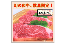 ttn173土佐あかうしｻｰﾛｲﾝｽﾃｰｷ（約190ｇ×3枚）