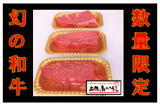 ttn174土佐あかうしﾓﾓﾌﾞﾛｯｸ（約820ｇ）