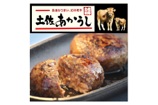 ttn175土佐あかうしハンバーグ5個