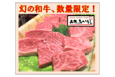ttn184土佐あかうしロース焼肉用（約450ｇ）