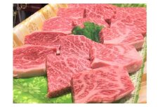 ttn185土佐あかうしロース焼肉用（約680ｇ）