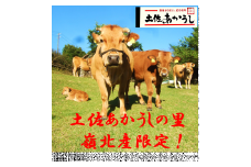ttn187土佐あかうしモモ焼肉用（約880ｇ）