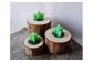 写真はイメージ画像です。デザインキャンドル使用。実際に小さめの多肉植物を植えることもできます。