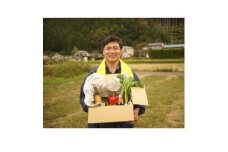 tthy3土佐れいほく野菜（3回お届け）