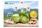 【餃子づくりは畑から。私たちは野菜農家です】私たちは、安心・安全で、自分たちが本当に美味しいと思える野菜をつくっています。