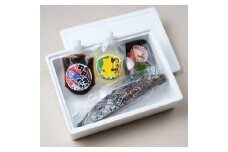 tts10鰹のタタキ１節セット    