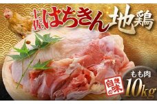 土佐はちきん地鶏 もも肉 10kg 大容量 地鶏 モモ肉 鶏肉 とり肉 とりにく 肉 高知県 大川村 F6R-001