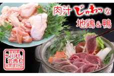 【大川村と芸西村の共通返礼品】はちきん地鶏 まるごと一羽おためしセット 約1kg＆土佐鴨 鴨鍋肉（2～3人前）セット 地鶏 もも肉 むね肉 ささみ 手羽先 手羽元 鶏肉 鴨 鴨肉 高知県 大川村 F6R-014