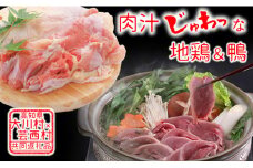 【大川村と芸西村の共通返礼品】はちきん地鶏 もも肉 1kg＆土佐鴨 鴨鍋肉（2～3人前）セット 地鶏 モモ肉 鶏肉 鴨 鴨肉 かも肉 とり肉 とりにく 肉 高知県 大川村 F6R-012
