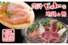 【大川村と芸西村の共通返礼品】はちきん地鶏 むね肉 1kg＆土佐鴨 鴨鍋肉（2～3人前）セット 地鶏 ムネ肉 胸肉 鶏肉 鴨 鴨肉 かも肉 とり肉 とりにく 肉 高知県 大川村 F6R-013