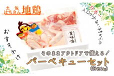 土佐はちきん地鶏 バーベキューセット（2～3人前） もも肉 むね肉 手羽先 天日塩 BBQ アウトドア 料理 地鶏 モモ肉 ムネ肉 胸肉 鶏肉 とり肉 とりにく 肉 高知県 大川村 F6R-009