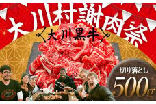 国産黒毛和牛 大川黒牛 切り落とし A4（250g×2パック） 国産 黒毛和牛 A4 切り落とし 牛肉 高知県 大川村 F6R-020