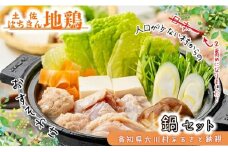 土佐はちきん地鶏 鍋セット（もも肉150g×2 むね肉100g×2 つくね200g ポン酢200ml スープ500ml 塩30g）地鶏 鍋 なべ モモ肉 ムネ肉 胸肉 鶏肉 とり肉 とりにく 肉 高知県 大川村 F6R-080