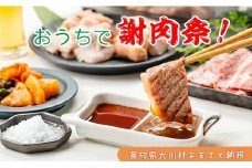 大川村謝肉祭セット（土佐はちきん地鶏700g 大川黒牛200g 大川村謝肉祭のたれ400g 塩30g ポン酢200ml）期間限定 地鶏 詰合せ もも肉 モモ むね肉 ムネ 胸肉 鶏肉 とり肉 とりにく 肉 高知県 大川村 F6R-082
