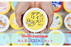高知アイスのアイスクリーム　8種類×2