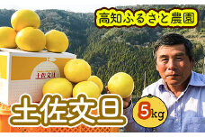 土佐文旦贈答用約5ｋｇ（高知ふるさと農園）　