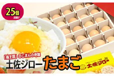 土佐ジロー濃厚たまご（1箱25個入）