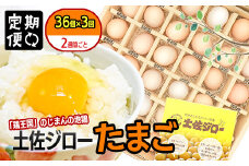 【定期便】土佐ジローたまご（1箱36個入）×3回　約2週間毎に1回