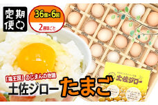 【定期便】土佐ジローたまご（1箱36個入）×6回  約2週間毎に1回