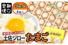 【定期便】土佐ジローたまご（1箱36個入）×6回　約4週間毎に1回