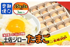 【定期便】土佐ジローたまご（1箱25個入）×3回　約3週間毎に1回