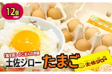 土佐ジロー濃厚たまご（1パック6個入×2パック＝12個）