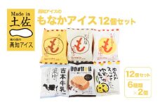 高知アイス　もなかアイス12個セット