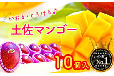 かおる・とろける！土佐マンゴー10個