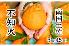 柑橘・みかん　しらぬい（不知火）３ｋｇ　　15玉サイズ