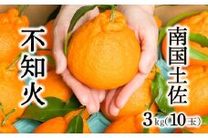 柑橘・みかん　しらぬい（不知火）３ｋｇ　　10玉サイズ