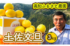 土佐文旦贈答用約3ｋｇ（高知ふるさと農園）　