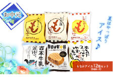 ★お中元★高知アイスの「もなかアイス」12個セット（6種類×２）