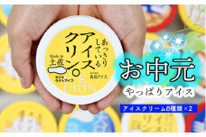 ★お中元★高知アイスの「アイスクリーム」　16個セット（８種類×２個）