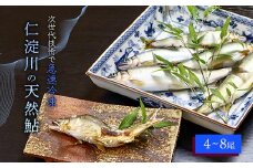 仁淀川の天然鮎（4匹～8匹）★冷凍