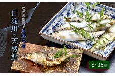 仁淀川の天然鮎（８匹～15匹）★冷凍