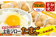 【定期便】土佐ジローたまご（12個入）×3回　約4週間毎に1回