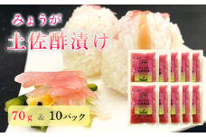 みょうが土佐酢漬け（70g×10パック）
